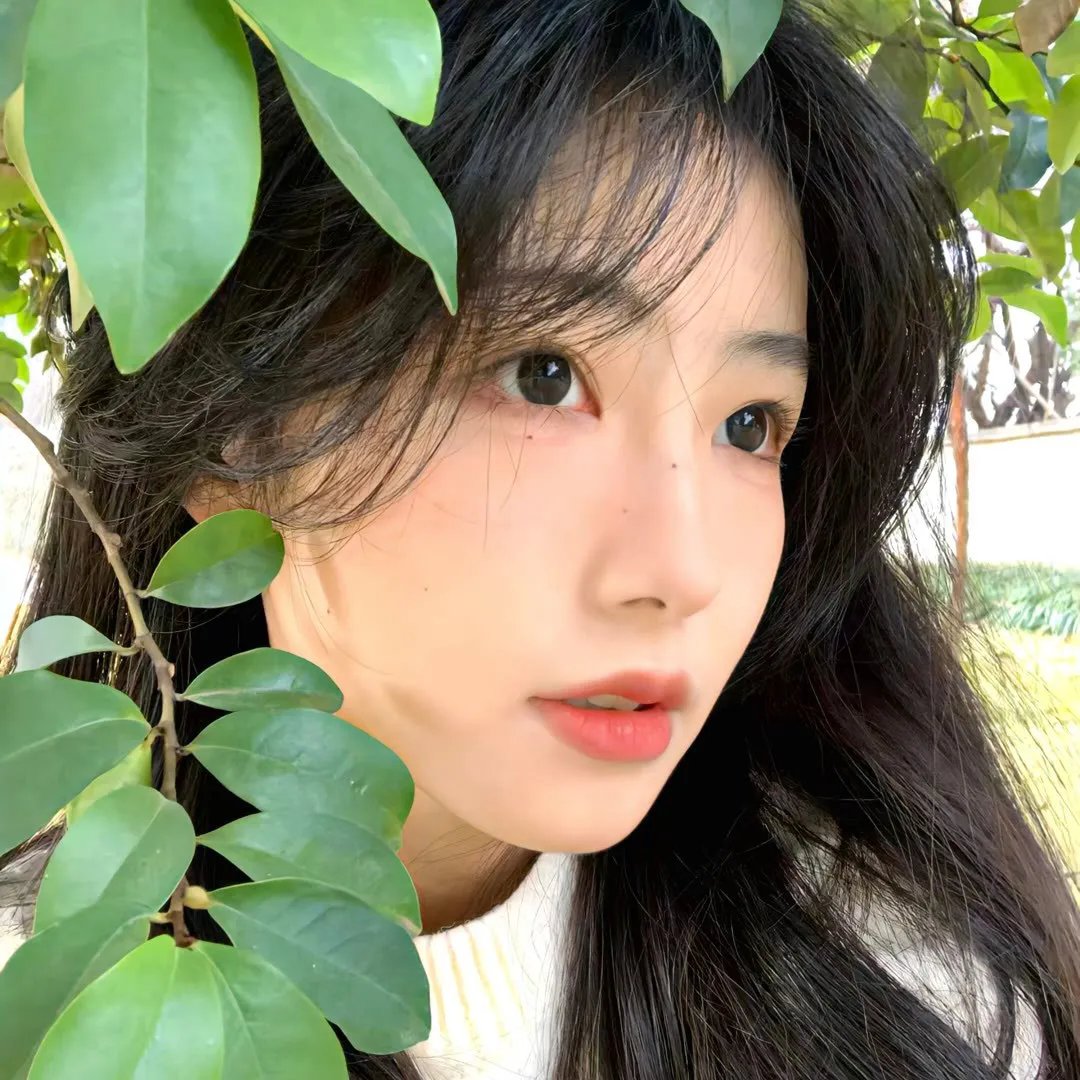 榄不住的爱
